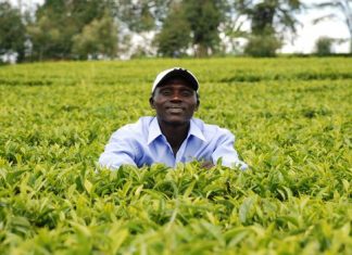 Один з найкращих марафонців середини 2000-х років завершив кар’єру