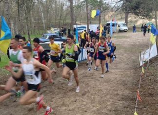 Визначилися чемпіони України-2014 з кросу