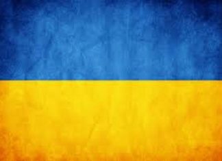 Звернення до українських федерацій олімпійських та не олімпійських видів спорту
