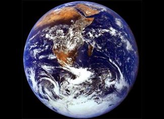 Зі світу по ницті: екологія понад усе та зміна амплуа Найджела Еймоса