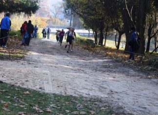 Луцьк готується до чемпіонату України з кросу