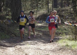Запрошуємо бігові клуби та ФСТ для участі в чемпіонаті України з кросу!
