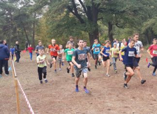 Донеччина провела відбір на чемпіонат України з кросу