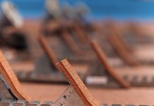 У Києві завершився чемпіонат України з легкоатлетичного двоборства